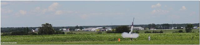 IMG_6365c.JPG - Condor - Chris Courtois